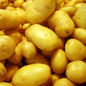 LỤC THẦN NÔNG CHO KHOAI TÂY